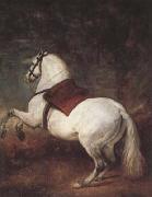 Diego Velazquez A White Horse (df01) oil painting reproduction
